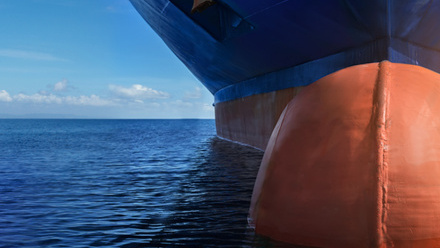 Image for Ballast Water Convention: Overcoming the compliance challenges (5975)