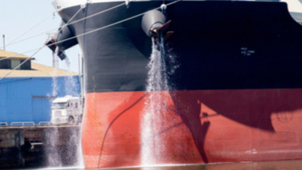 Image for Why we need clearer ballast water guidelines (5873)