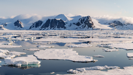 Protecting the Arctic and Antarctic key aim for new group_MAIN 1.jpg