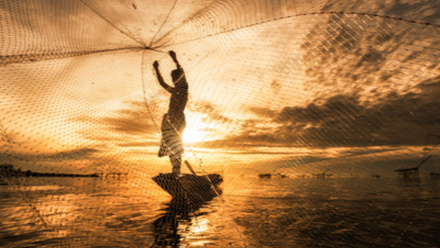 Image for The Global Fisheries Improvements SIG (5676)