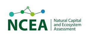 NCEA_logo_landscape_fullcolour.jpg